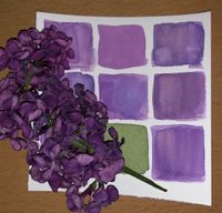 7 Flieder lilac 05-24