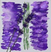 MS 8 Lavendel